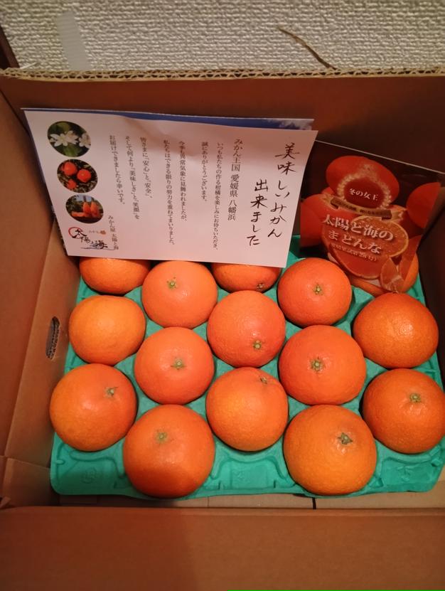 愛媛の不知火】（デコポン）出たよ〜🍊（5.0k入） | 果物/オレンジ