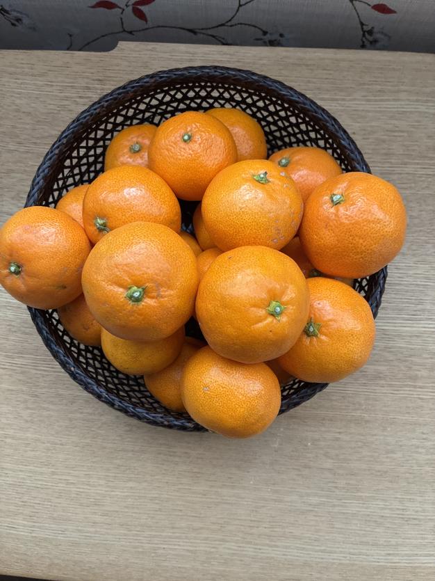 有田みかん【小粒小玉】5kg（箱込） | 果物/温州みかん 産直アウル