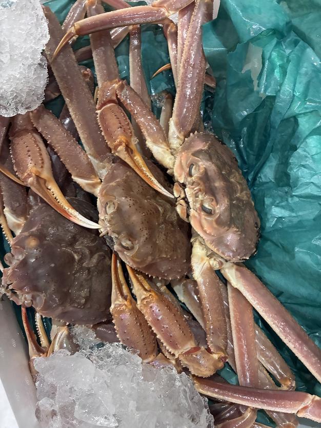 訳あり 生セコガニ 約1キロ入り ｜ 魚介類/カニ 産直アウル 農家・漁師