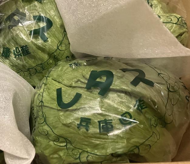 令和６年５月精米の淡路島県産こしひかり　10kg ② 令和6年度 精米 きぬひかり 淡路島産 10㌔