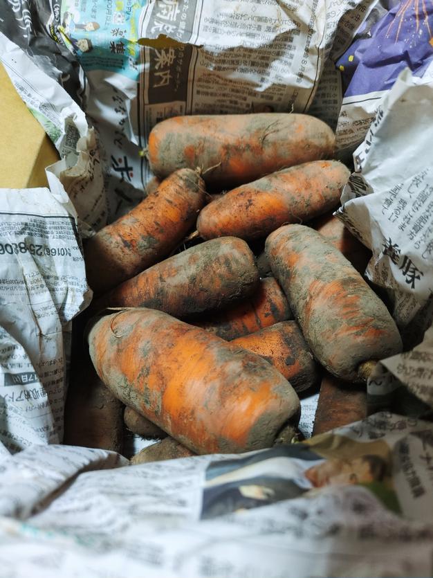 いちご 1kg 栽培期間中農薬化学肥料不使用 ｜ 果物/いちご 産直アウル