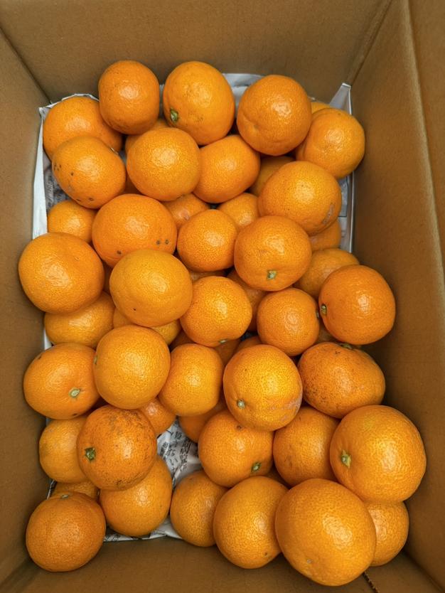 有田みかん　7キロ　小玉みかん　凛　3sサイズ　和歌山県　産地直送 凛 小玉みかん3キロ 有田みかん 和歌山県 ｜ 果物/オレンジ・その他