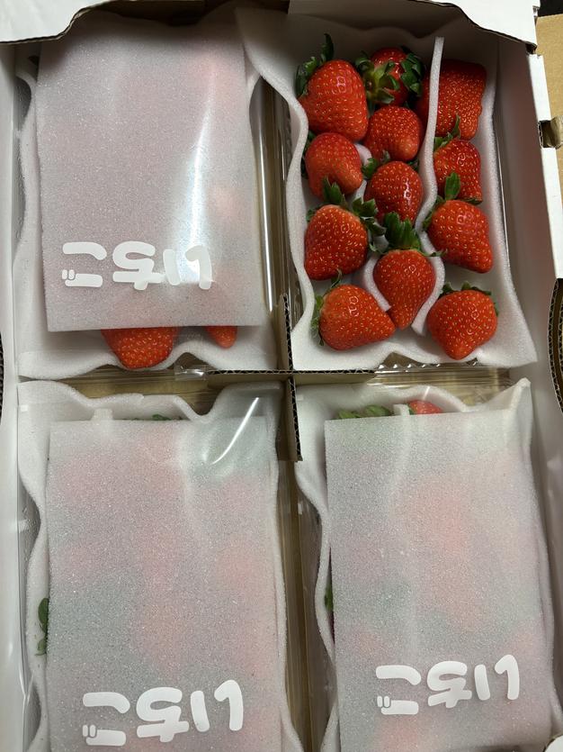 完熟いちご（よつぼし）300g2パック（DXパック） 未だ流通量の少ない