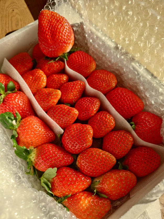 トクトク🍓いちごの宝石箱！酵素栽培の完熟いちご【いちご食べ比べ