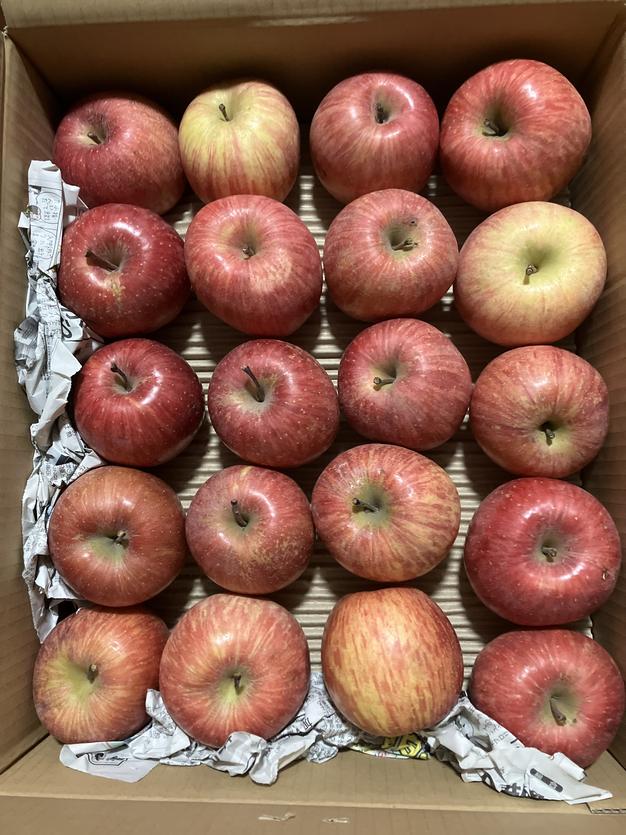 りんご サンふじ 大玉贈答向け 10kg | 果物/りんご 産直アウル 農家
