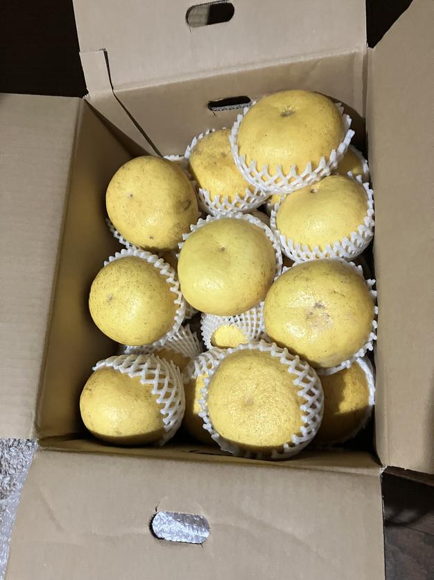 楽天市場】パール柑の通販 mitatomo様専用パール柑3L以上20kg