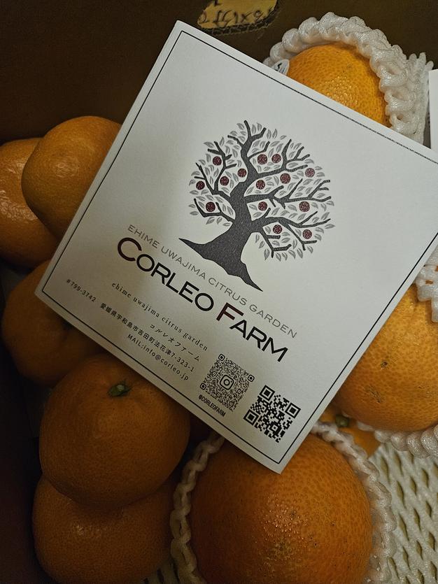 二大人気柑橘 食べ比べセット（コルマドンナ／南柑20号）Aセレクション