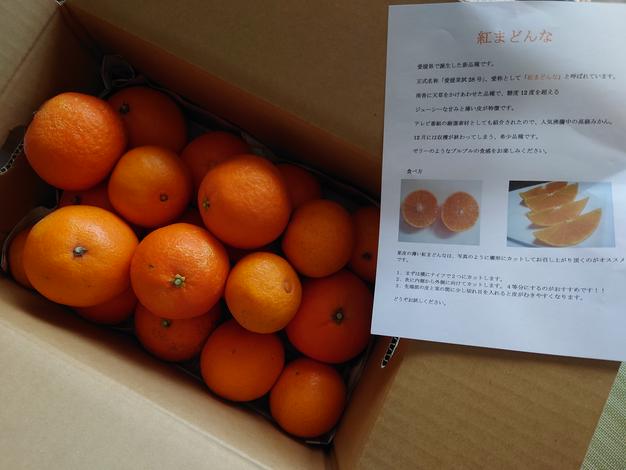 味に自信あり愛媛のまどんな 3k箱 愛果28号】 | 果物/その他柑橘類