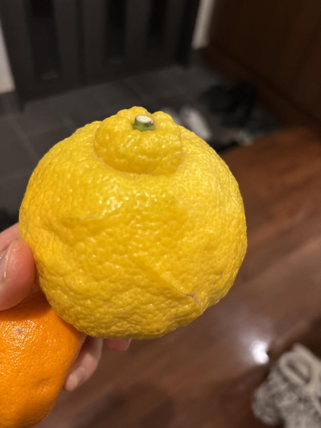 訳あり】広島県産 はるか‼️ 大玉サイズ 9.5kg(箱込み) | 果物