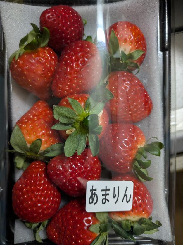 希少あまりん】2パック(500g) 朝採れ🍓 | 果物/いちご 産直アウル