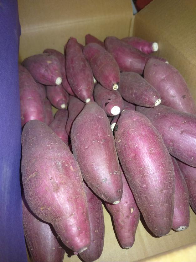 ホクホク系【 紅あずま S•M混合サイズ 10kg 】千葉県成田市産