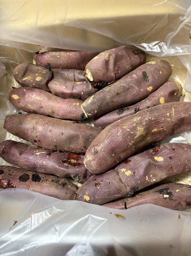 B級品】干し芋3キロ【べにはるか】 | 野菜/野菜の加工品 産直アウル