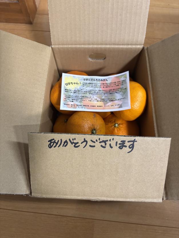 甘平！5キロ箱 | 果物/オレンジ・その他みかん 産直アウル 農家から