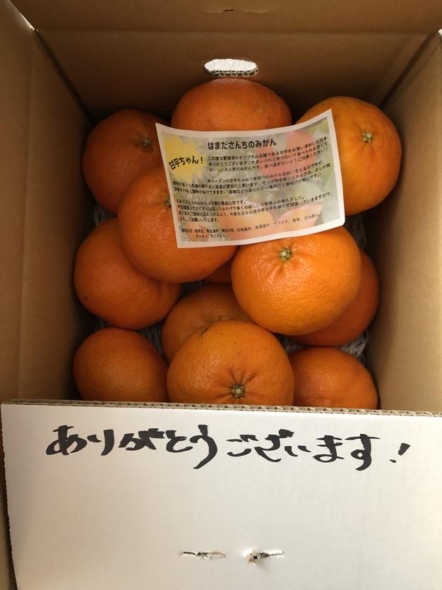 モロ5キロ×甘平5キロ 市場にほぼ出回らない】甘平《ご家庭用 5kg》｜柑橘史上トップクラスの