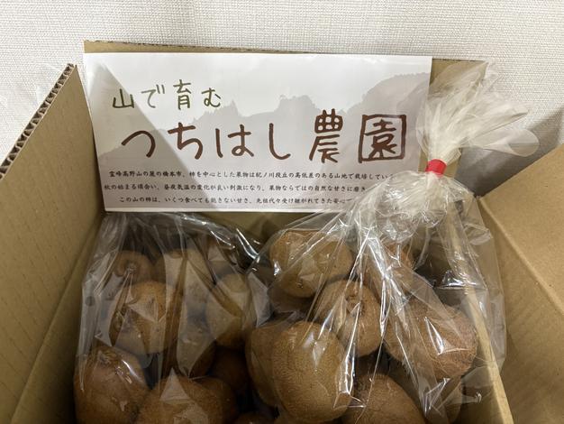 送料500円引] 天然の山蕗(やまぶき・ふき) ｜ 野菜/その他野菜 産直