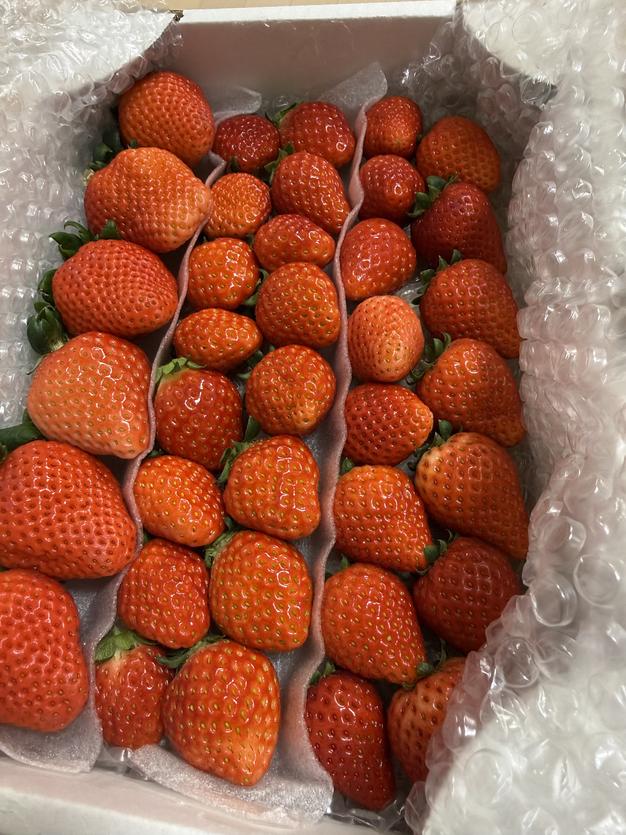 トクトクいちごの宝石箱！酵素栽培の完熟いちご | 果物/いちご 産直