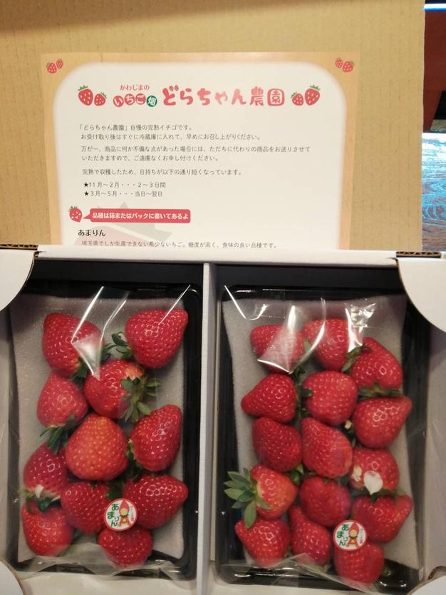 あまりん・べにたま】食べ比べ2パック(500g) 🍓 ｜ 果物/いちご 産直