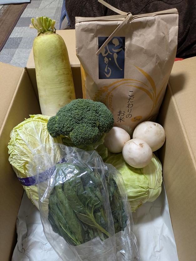 栽培ヨモギ 2.0kg 栽培時無農薬 【栽培よもぎ 入浴用にもおすすめ