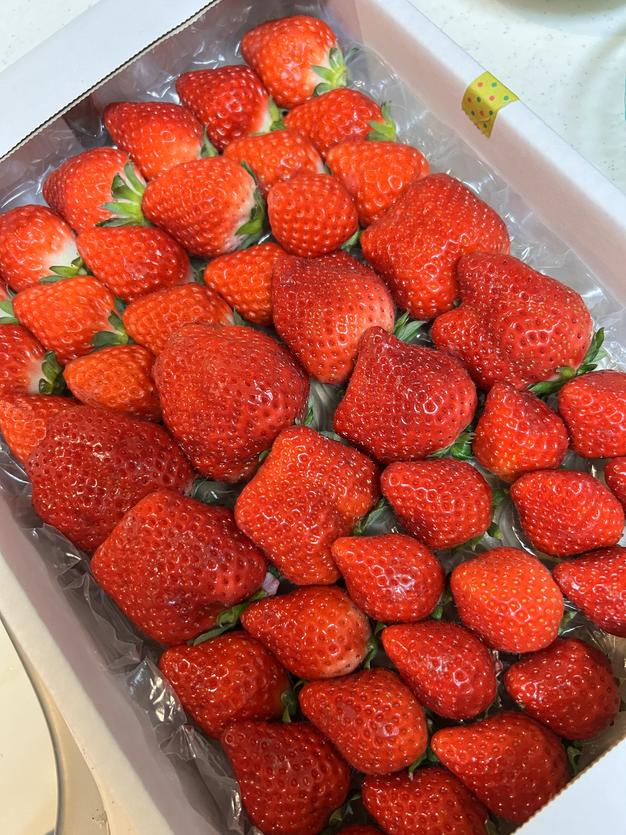 クール冷蔵便発送】農薬使用なし！！パッションフルーツ お徳用1.5kg