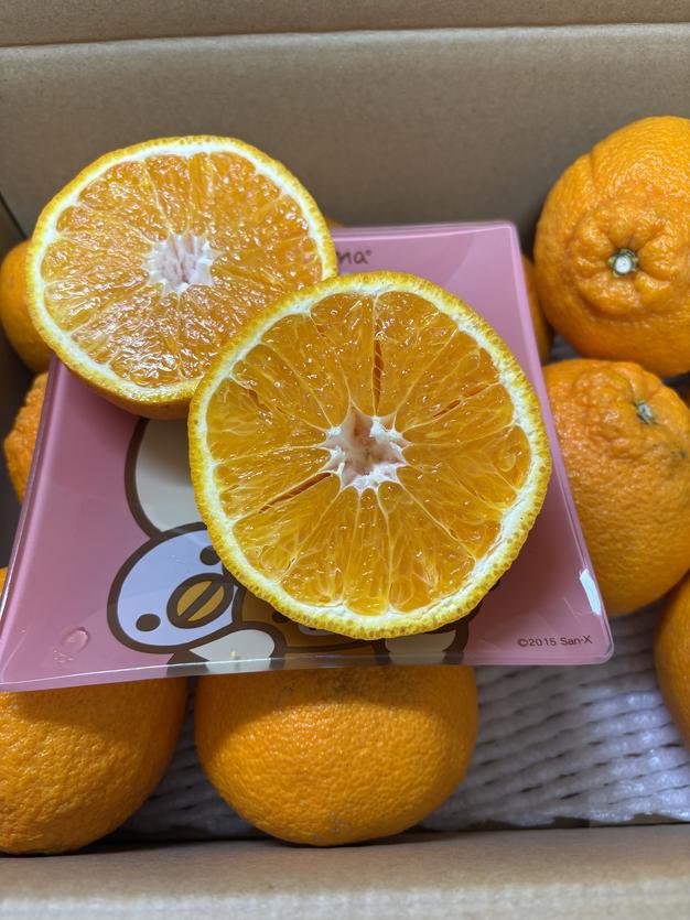 お得な訳あり品》2Lサイズ 段畑みかん 内容量2キロ ｜ 果物/温州みかん