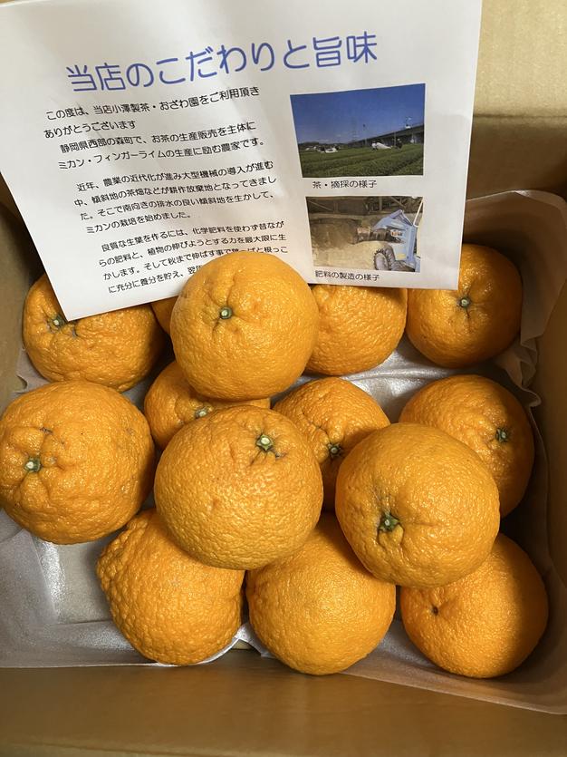 あいちゃん不知火&パール柑20kg 不知火 あーちゃん家の不知火 5kg 【2026年4月上旬～5月下旬発送予定