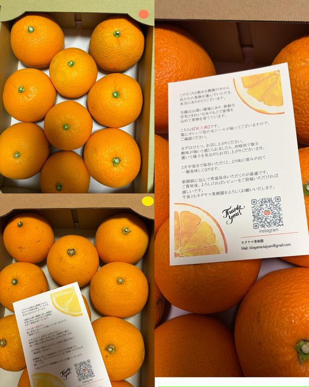 はっさく & 紅はっさく 食べ比べ2箱セット Lサイズ以上 各種8〜11玉