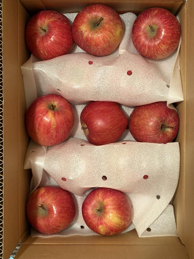 七宝ページ　サンふじ　小玉　農家直送 お試し品】濃厚サンふじ 小玉りんご ｜ 果物/りんご 産直アウル 農家