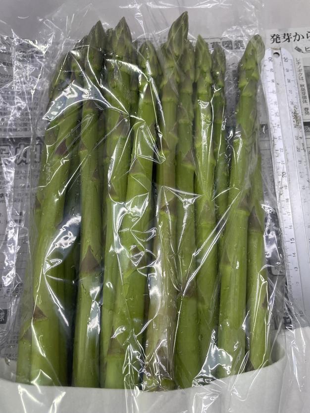 さぬきのめざめ （アスパラガス） 【2Lサイズ】 2kg ｜ 野菜