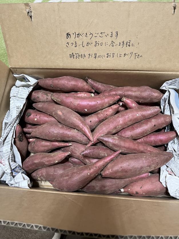 【訳あり野菜】茨城県産　さつまいも　紅はるか　土付き　100kg 茨城県産 紅はるか 訳あり サイズミックス 約10kg｜訳あり わけあり 訳