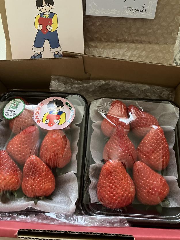 希少品種ジューシー かなり甘さと香りが強いいちご全国10件のみ栽培