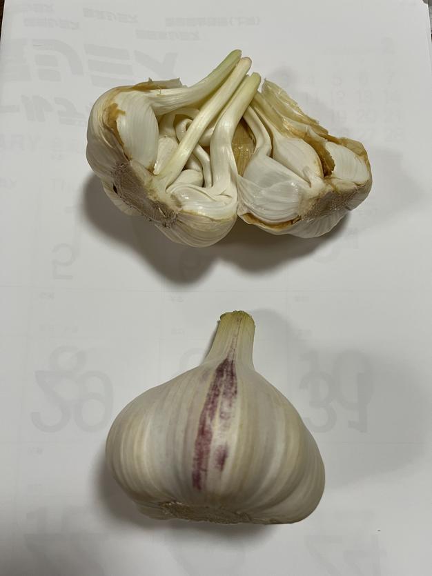 令和8年産】(送料無料)小粒中心のにんにくバラ600g(メール便サイズ