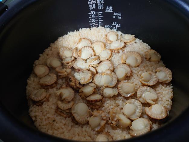 活ホタテ《5キロ》北海道産 ゴールデンウィーク商品！ ｜ 魚介類