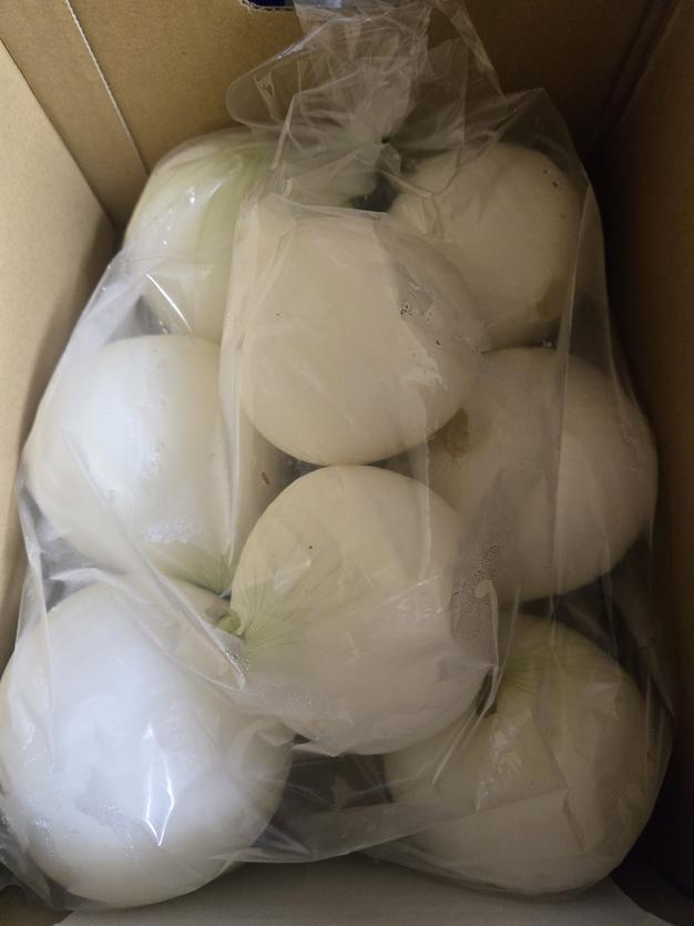 キヌヒカリ玄米20kg🌾橙心🌾令和7年度産🌾淡路島からの新米キヌヒカリ