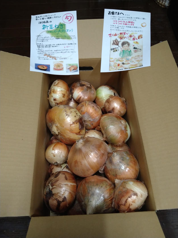 キヌヒカリ玄米20kg🌾橙心🌾令和7年度産🌾淡路島からの新米キヌヒカリ