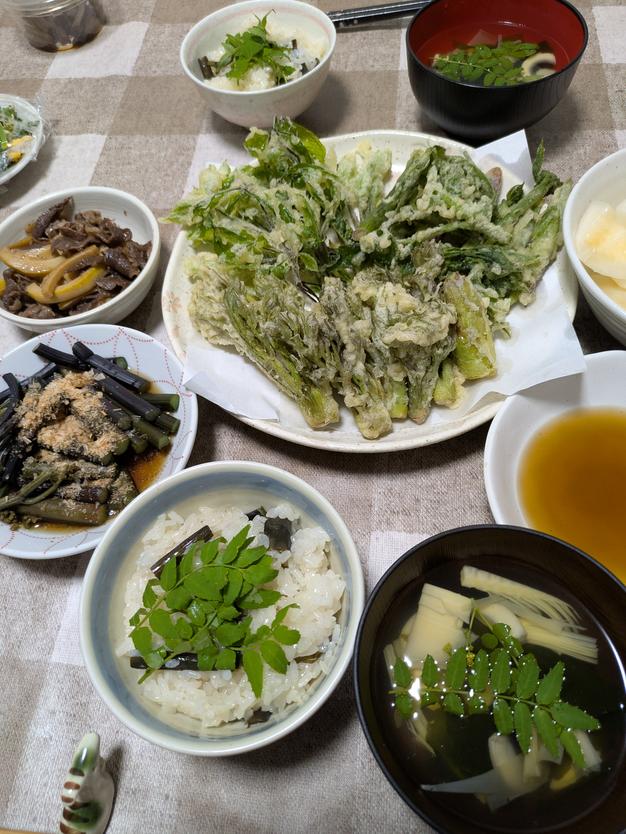 雪解けの天然フキノトウ「バッケ」 ｜ 野菜/山菜 産直アウル 農家