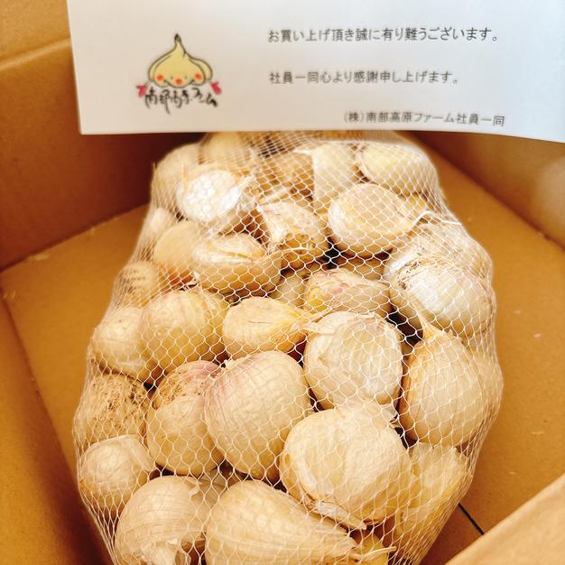 青森県産ニンニクSサイズ10キロ masa様】青森県産 令和4