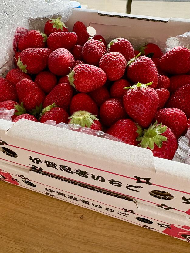 感謝お値下げ【減農薬】一箱 4パック いろいろなサイズ 『モカベリー