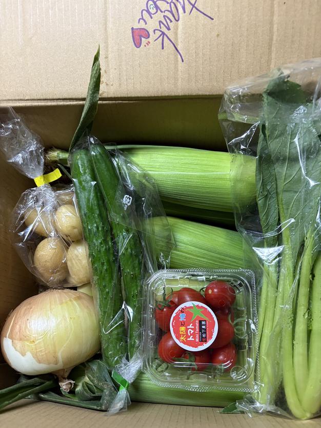 ★キュウリ3kg、タマネギ5kg、トウモロコシ4kg★ 食品 ☆キュウリ3kg、タマネギ5kg、トウモロコシ4kg☆