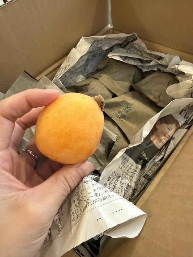 ご自宅向け】農薬化学肥料不使用びわ ｜ 果物/びわ 産直アウル 農家