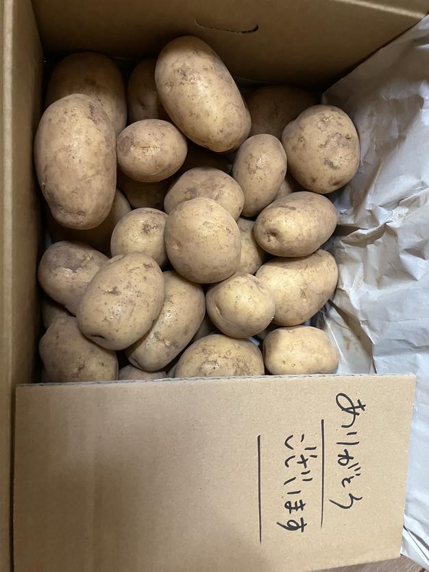 新じゃがいも ながさき黄金10kg ｜ 野菜/じゃがいも 産直アウル 農家
