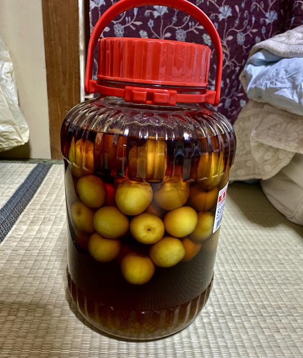 2kg】青梅 南高梅 ｜ 果物/青梅 産直アウル 農家・漁師など生産者から