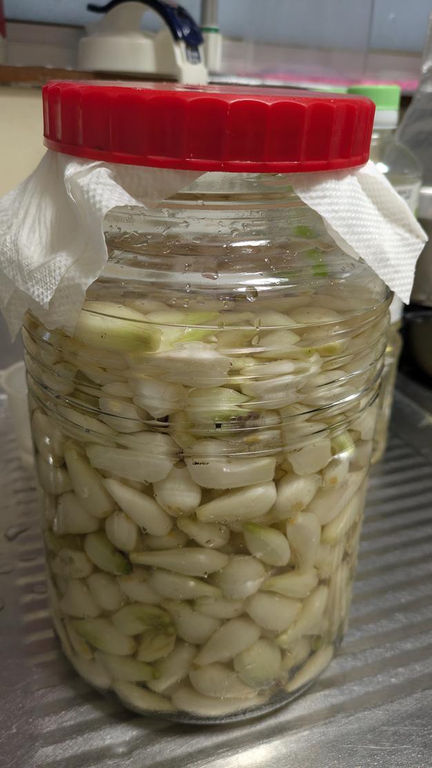 土付きらっきょう4.7kg ｜ 野菜/その他野菜 産直アウル 農家・漁師など