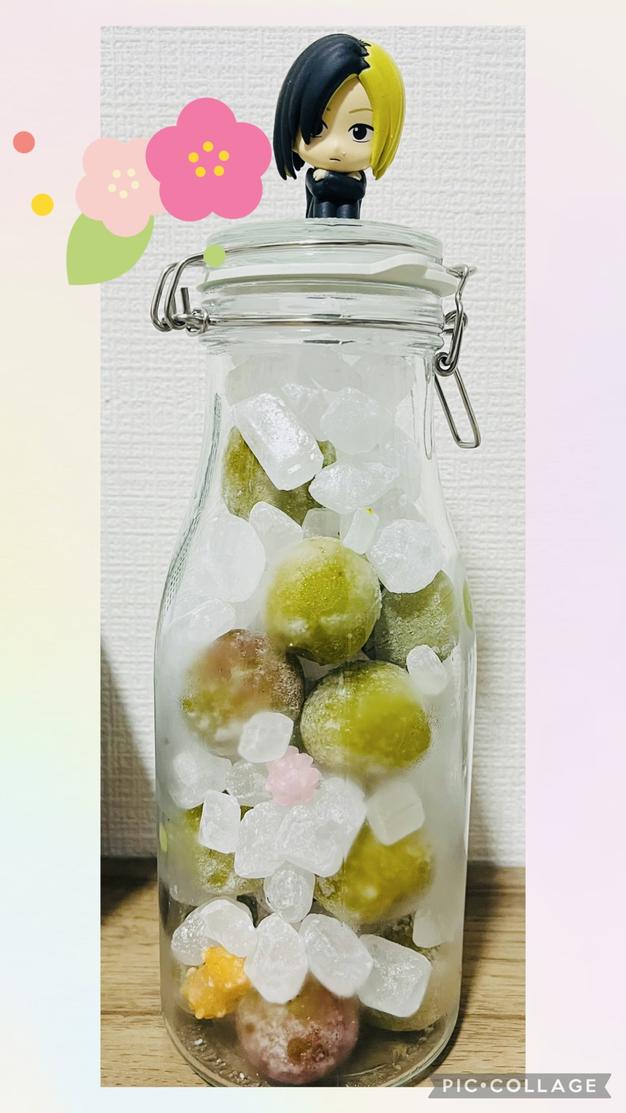 瓶つき！おうちで梅しごと(動画QRあり)梅シロップkit シロップ作りに