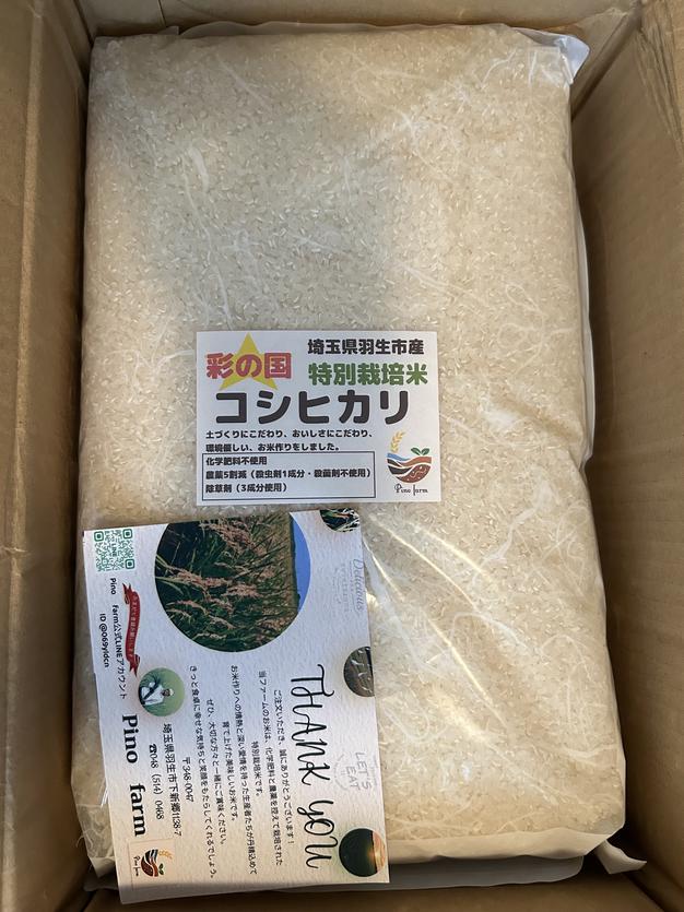 コシヒカリ　20kg　特別栽培米 R7年産特別栽培米 コシヒカリ 20kg ｜ 米・穀物/米/精米 産直アウル