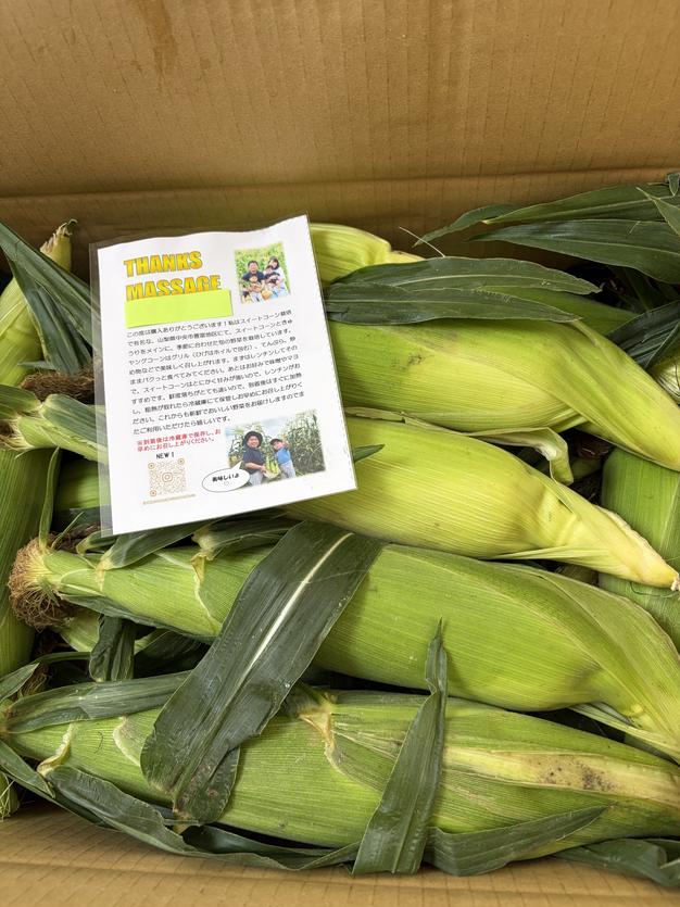 新鮮朝採り】早朝収穫のゴールドラッシュ12本 | 野菜/とうもろこし 新鮮朝採り】早朝収穫のゴールドラッシュ12本 | 野菜/とうもろこし