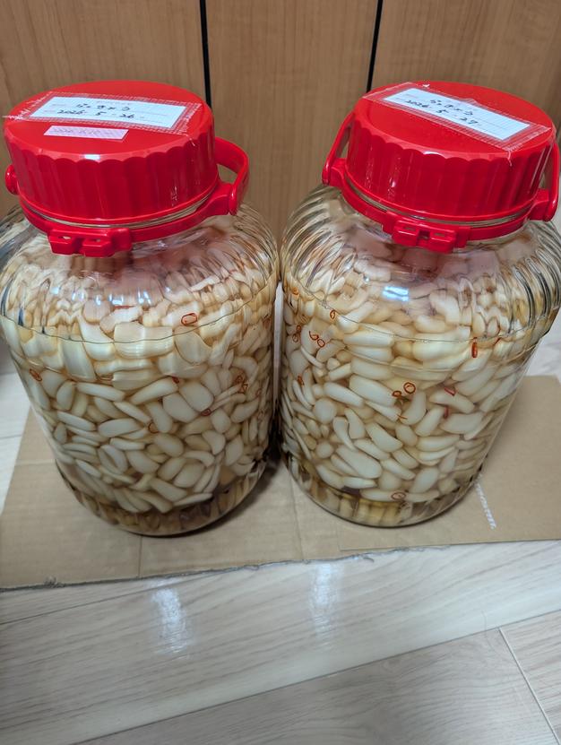 農薬不使用(栽培期間中) 素材の栄養丸ごと 根付きらっきょう 1kg 土