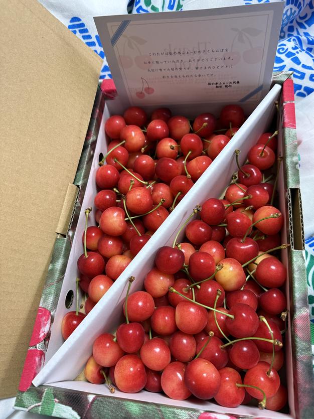 コロ 紅秀峰1kg 21日発送分 さくらんぼ 紅秀峰 (1kg) 7月上旬から発送予定 ｜ 果物/さくらんぼ