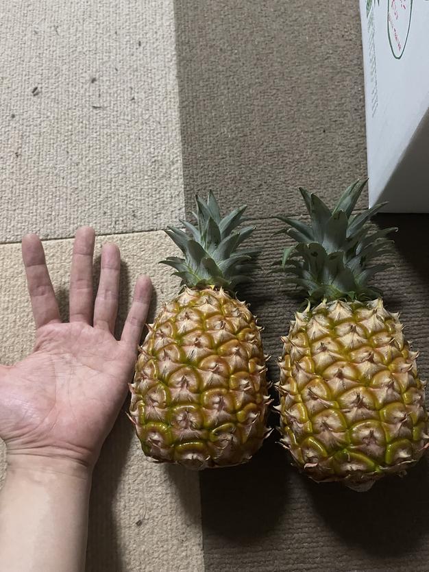 送料無料】ますみ農園 桃の香りのピーチパイン5kg（5〜8玉） ｜ 果物
