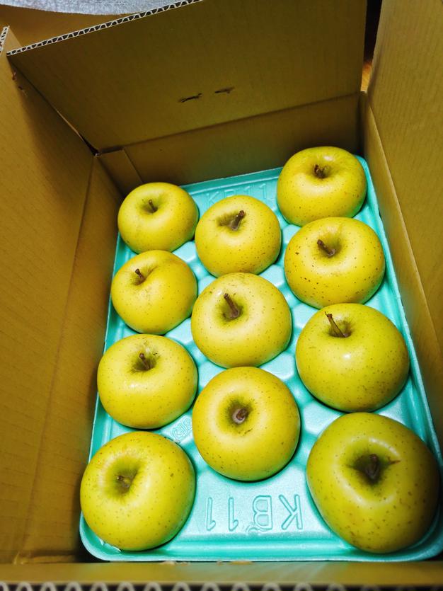 食品 訳あり 市田柿 4 kg