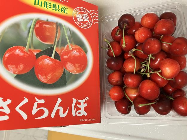 紅秀峰 』訳あり1k特価割(限定30箱) さくらんぼ 山形県天童産 1kg 訳
